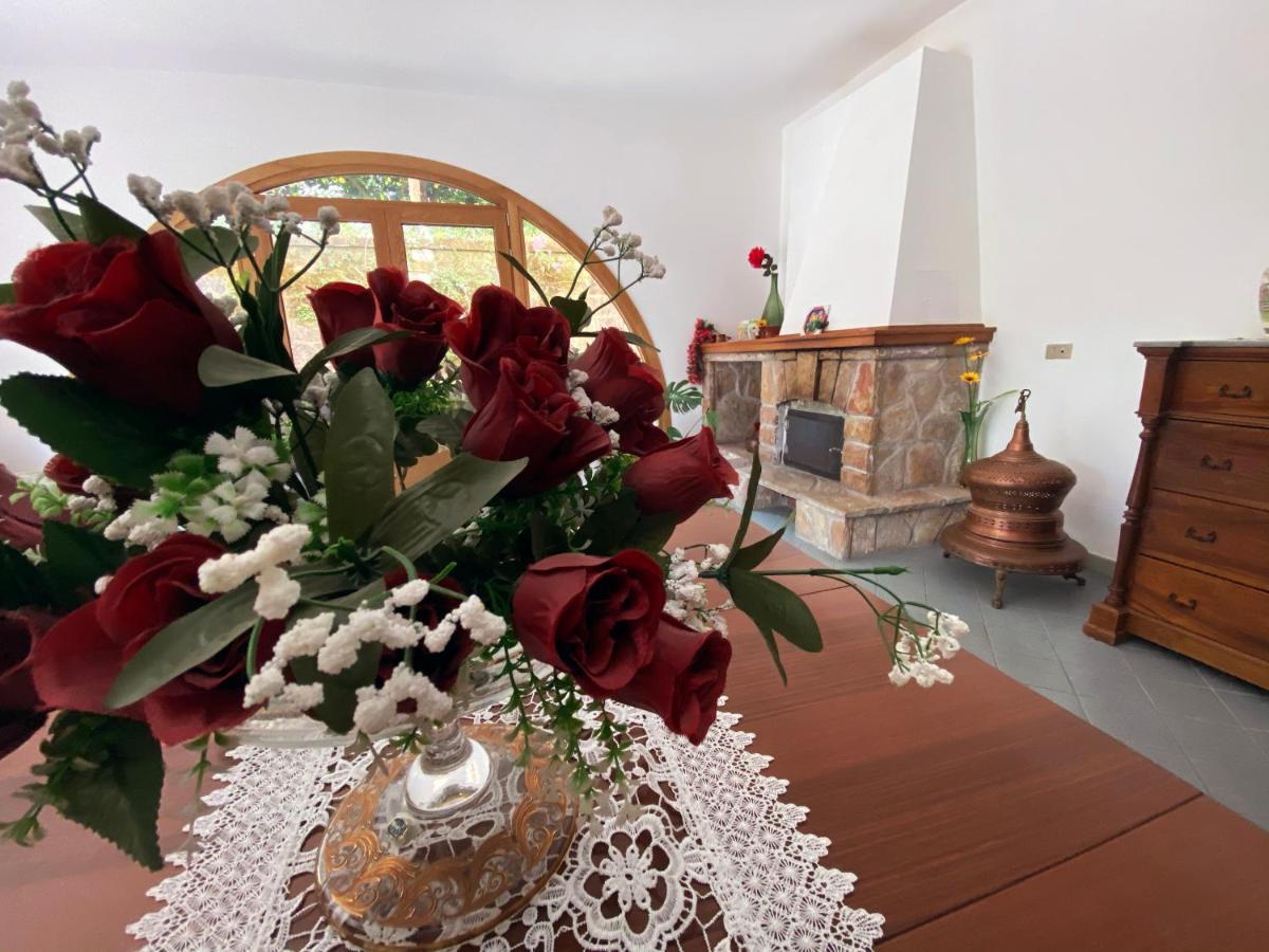 Achille Home B&B Сорренто Екстер'єр фото
